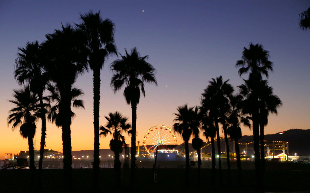 Serene Palm Tree Paradise Wallpaper with Vibrant Sunset and Ferris Wheel