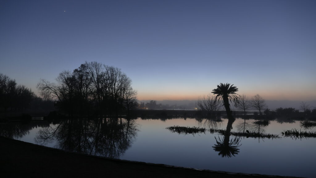 Palm tree silhouette at sunset with calm water reflecting colorful sky and tree outlines wallpaper