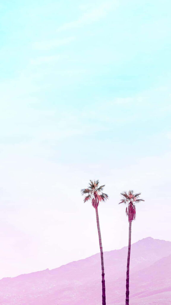 Serene Palm Tree Wallpaper with Pastel Mountains & Sky Background