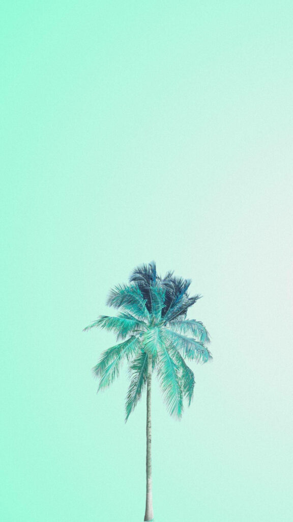 Serene Tropical Vibes: A Refreshing Palm Tree Against a Delicate Mint Green Backdrop Wallpaper