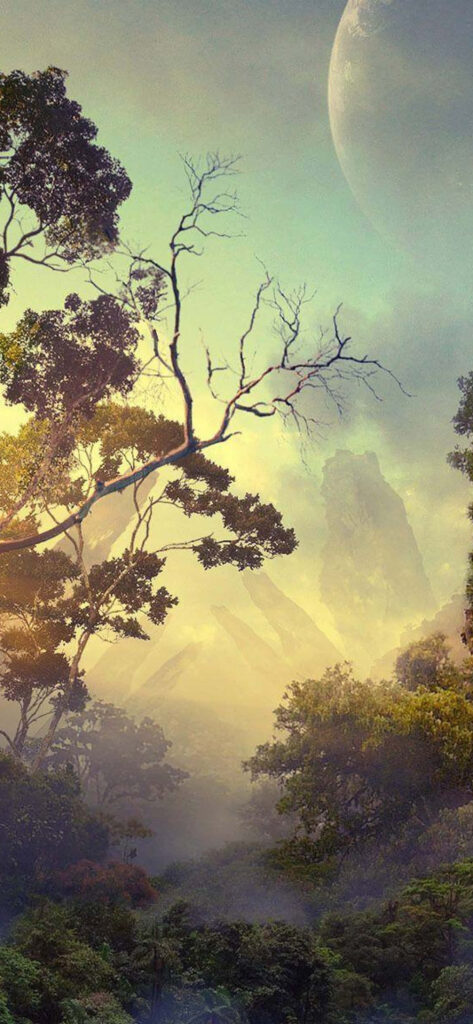 Serene Pandora-Inspired Forest Wallpaper: Ethereal Moonlit Landscape