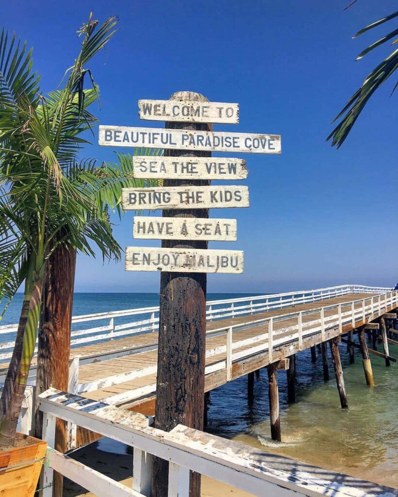 Paradise Cove Serenity: A Tropical Portrait amidst Malibu's Lush Beauty Wallpaper