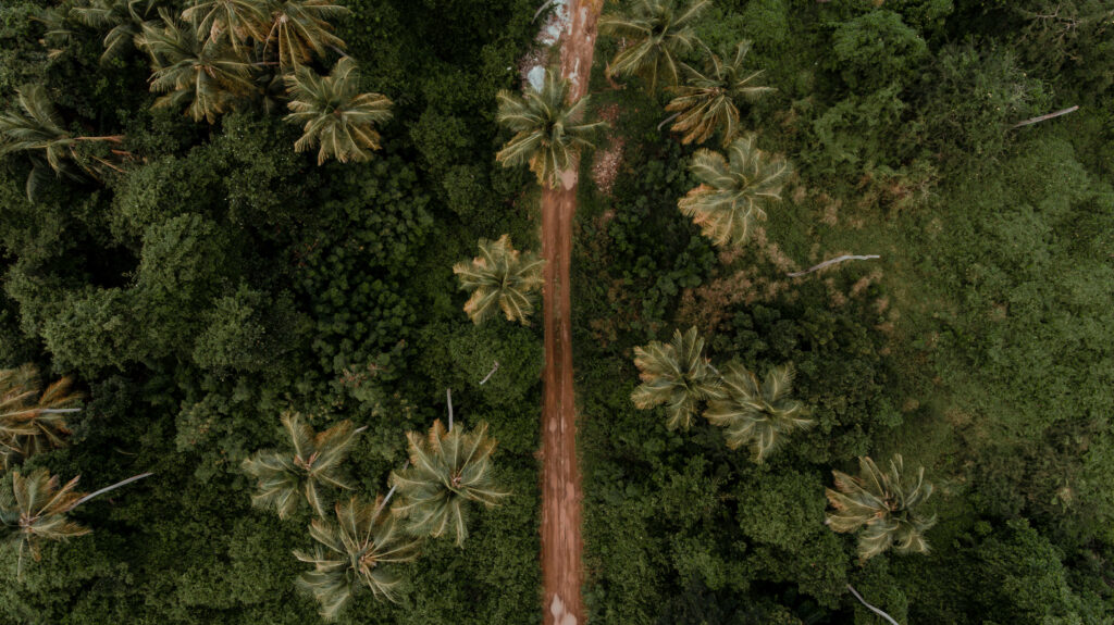 Tropical Tranquility: Capturing Grenada's Serene Dirt Road amidst Lush Rainforest Wallpaper