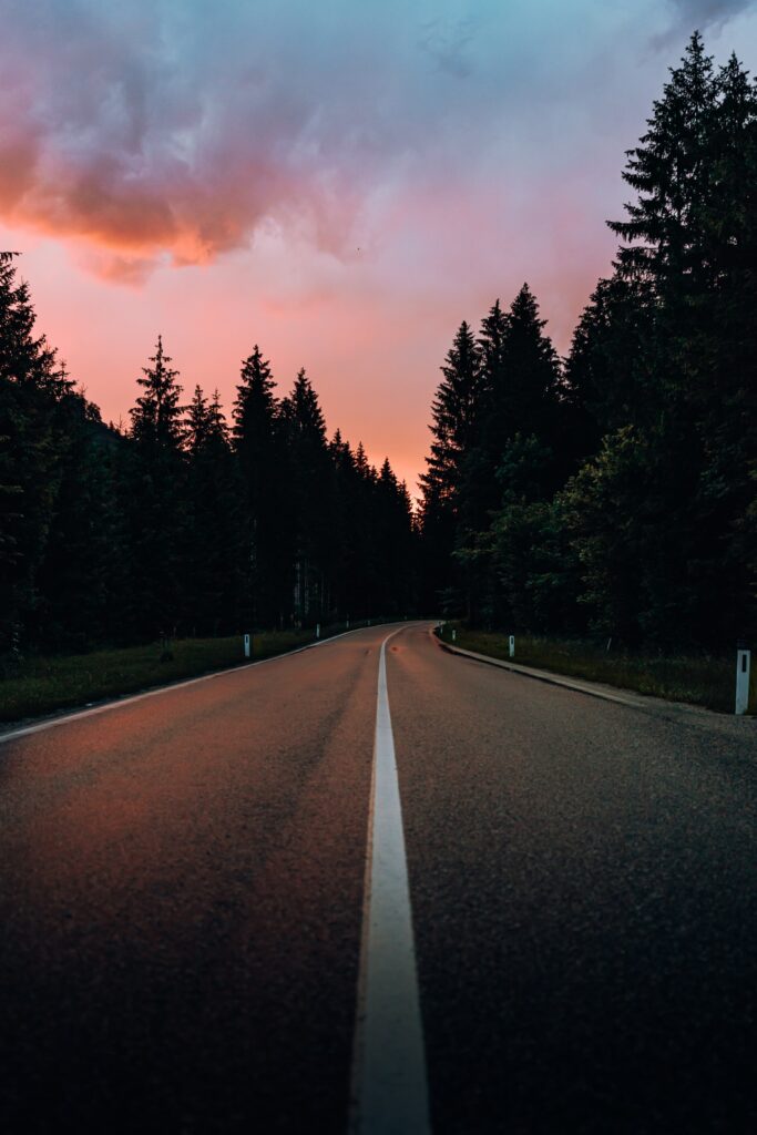 Winding road through tall pine trees at sunset with warm orange pink sky nature wallpaper background