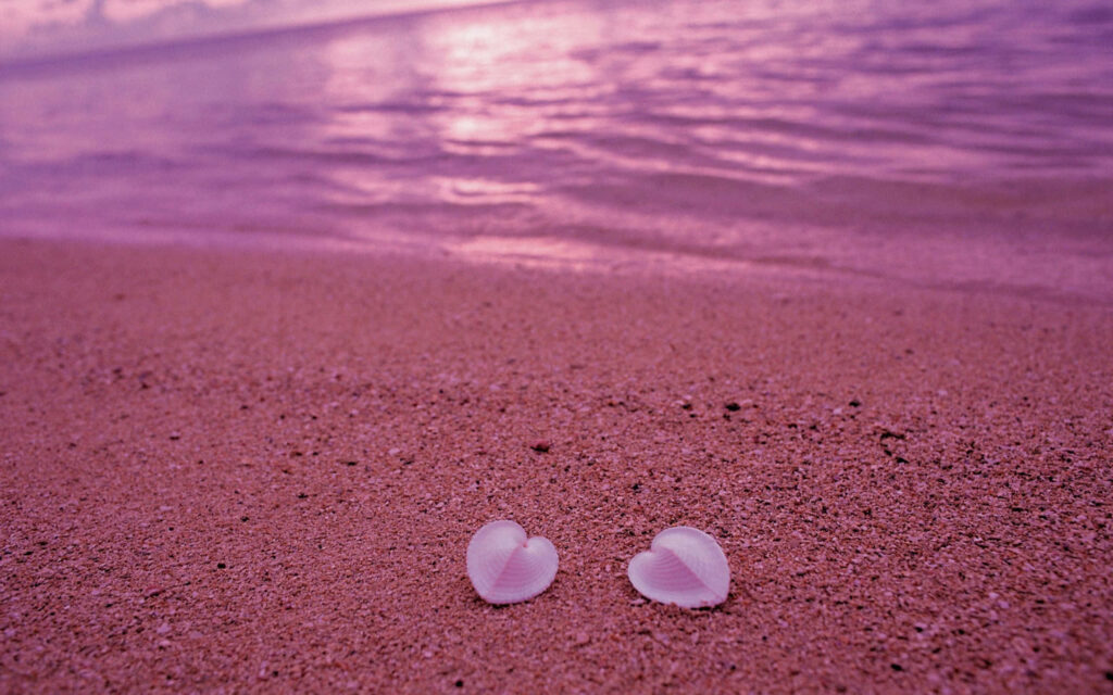 Tranquil Pink Sand Beach Sunset Wallpaper with Seashells