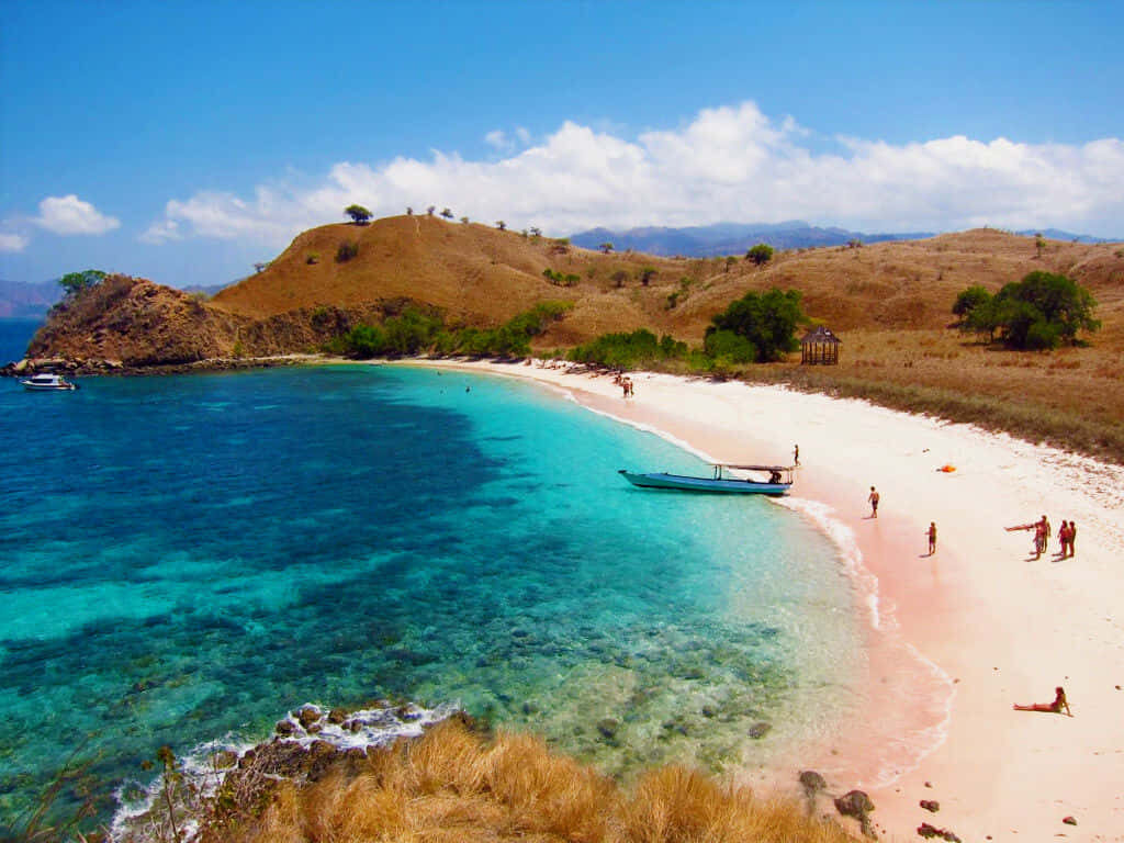 Tranquil Pink Sand Beach Wallpaper with Vibrant Turquoise Waters