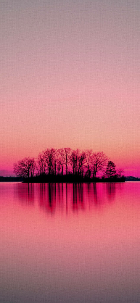 Serene Pink Sunset Wallpaper: Tranquil Waters & Silhouetted Trees