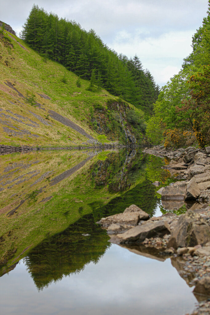 Tranquil pond reflecting lush green slope dense trees and rocky shore serene natural landscape Wallpaper