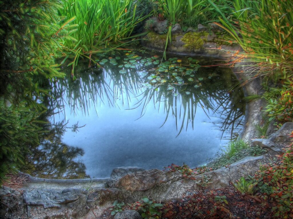 Tranquil pool with lilies smooth stones and lush greenery reflecting serene natural scenery wallpaper