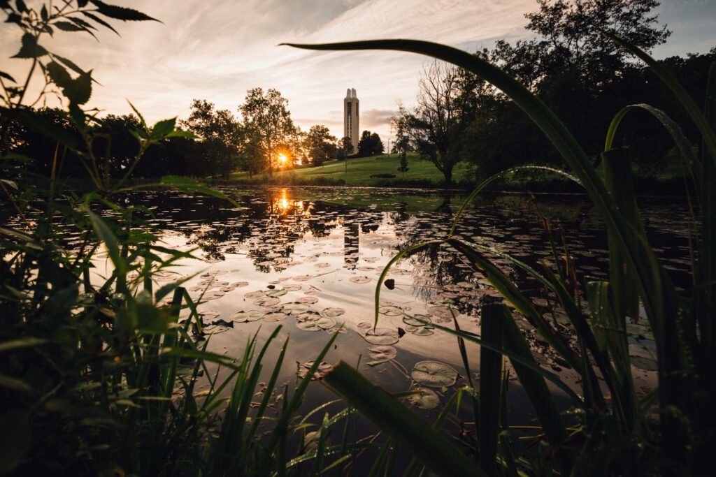 Serene Potter Lake Wallpaper: Sunset Reflection & Lush Greenery