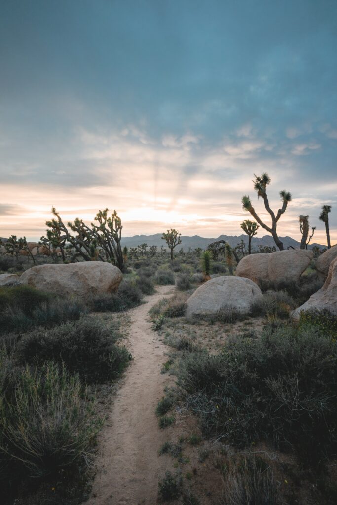 Dusty path winding through prairie valley with stones desert plants under dramatic sky wallpaper