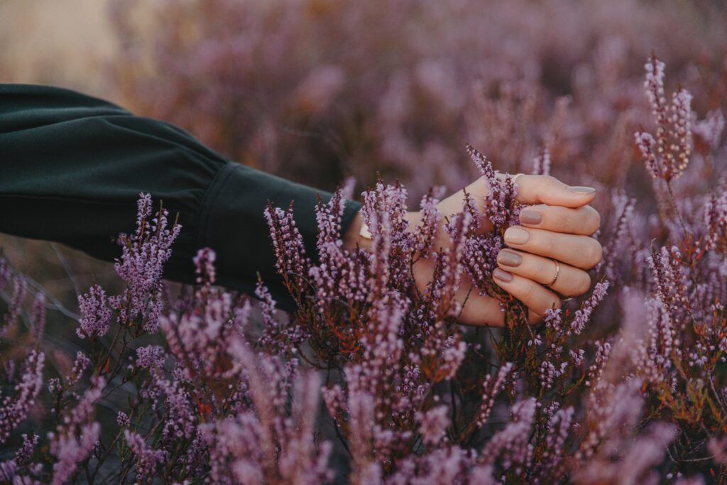 Serene Purple Inflorescences Wallpaper: Close-Up Hand Grasping Beauty