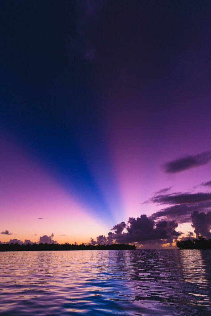 Serene sea sunset wallpaper with purple pink sky rays and silhouetted trees on the horizon