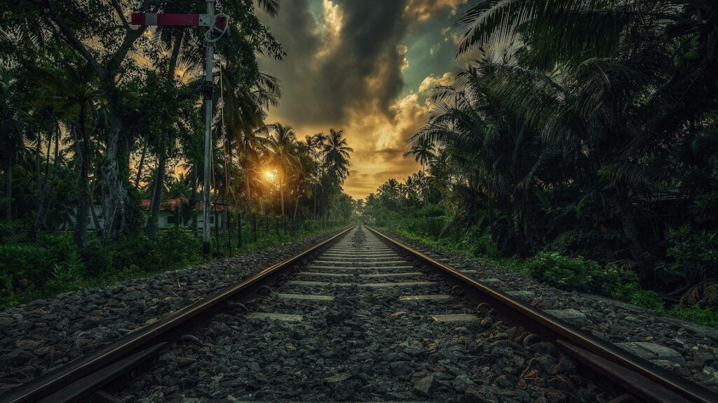 Serene Railroad Tracks at Sunset: Vibrant Palm Tree Wallpaper
