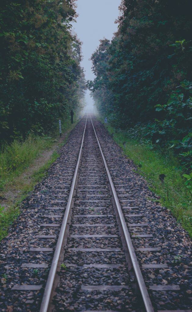 Railway tracks through lush green forest under soft daylight peaceful natural wallpaper background