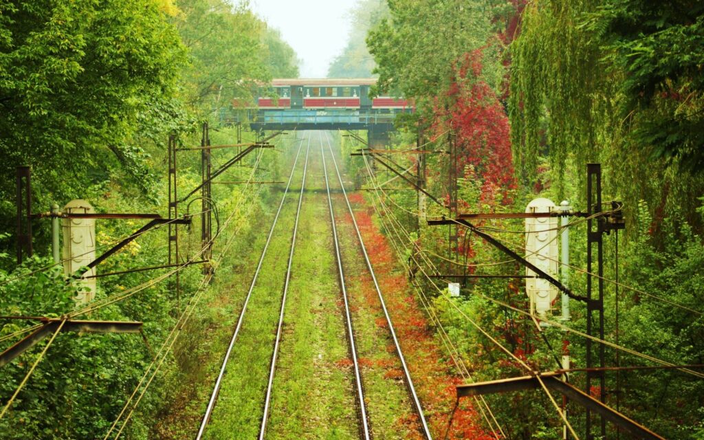 Railway tracks with lush greenery overhead wires and tram crossing bridge in nature scene wallpaper