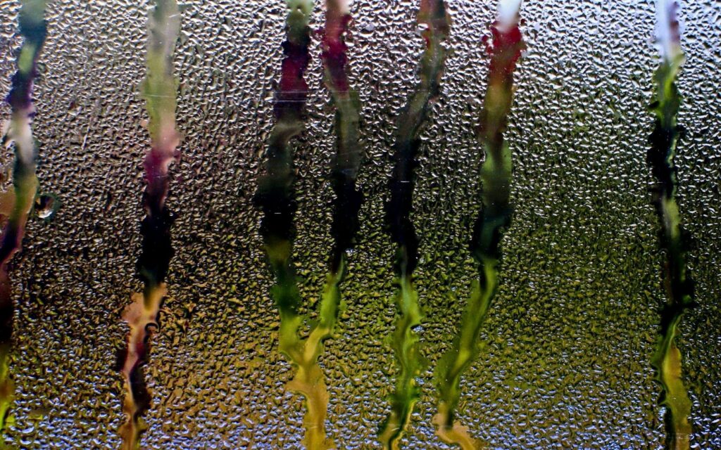 Serene Rain Droplets Wallpaper: Soothing Glass Patterns & Light Reflections