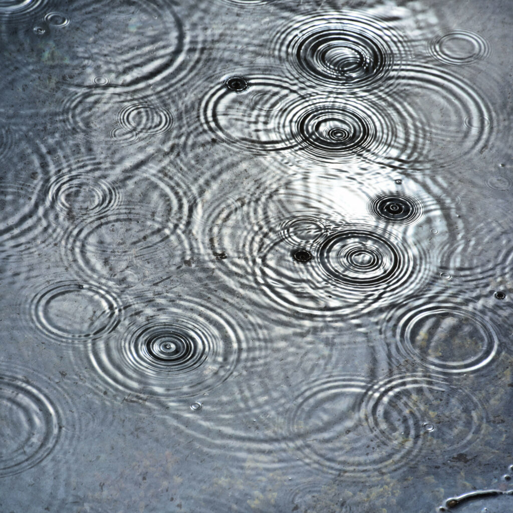 Serene Water Surface Wallpaper: Rain Droplets & Overlapping Ripples