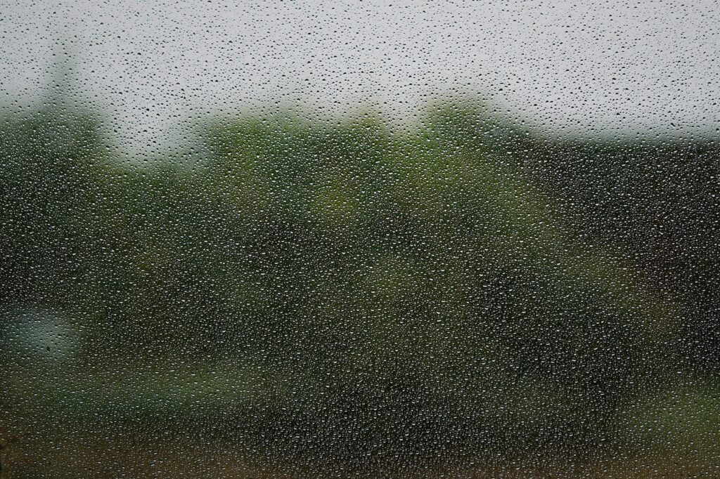 Tranquil Rain Droplets Wallpaper: Blurred Greenery Background