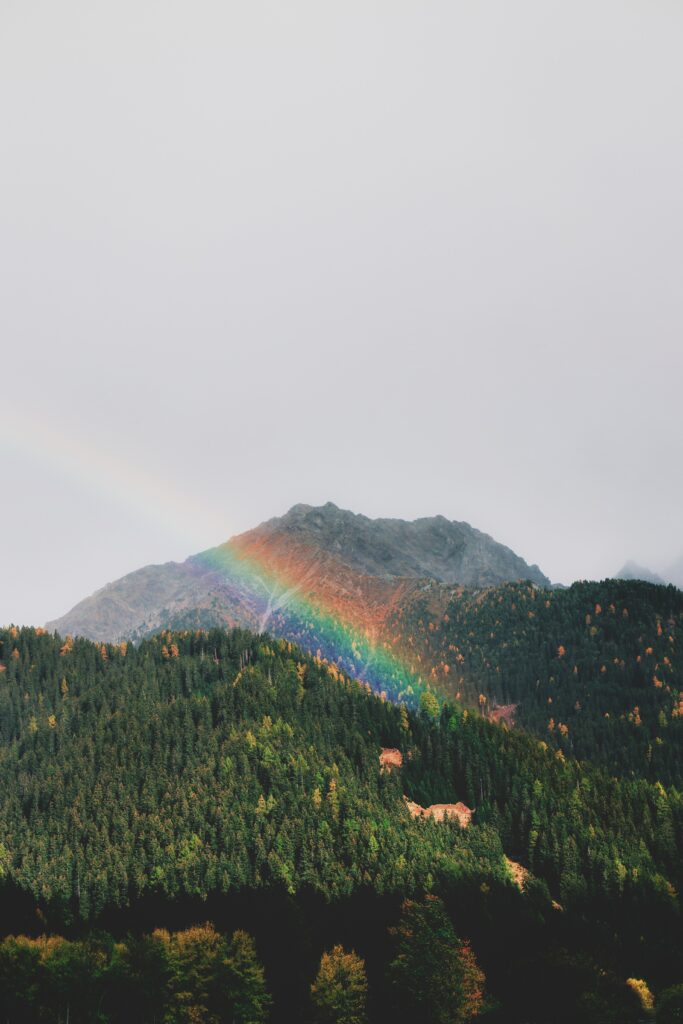 Vibrant rainbow over lush green forest and rugged mountain landscape with soft natural light Wallpaper