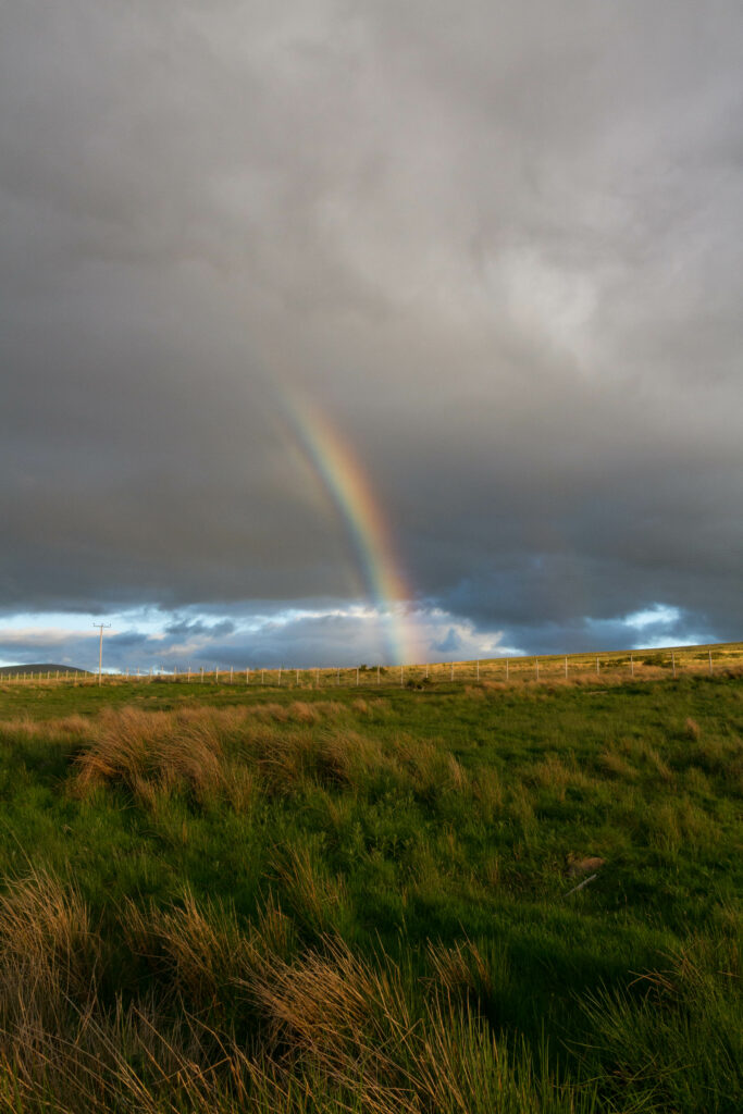 Vibrant rainbow over lush green field under dramatic clouds with golden sunlight calm wallpaper