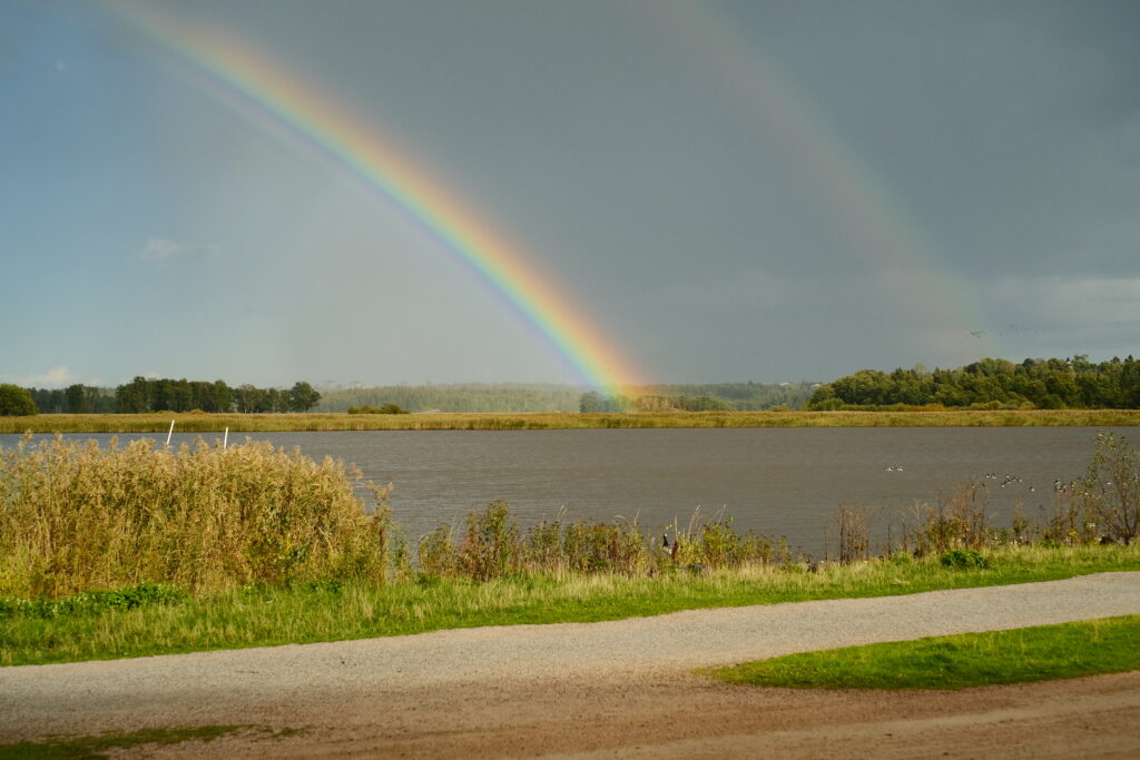 Rainbow over calm lake with lush greenery and cloudy sky serene nature landscape wallpaper