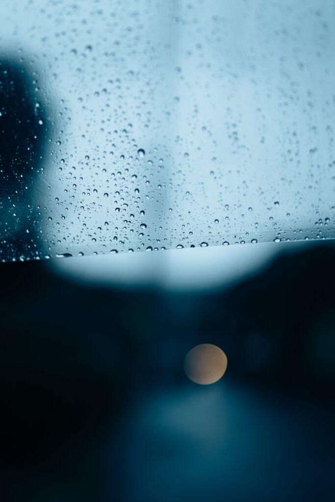 Tranquil Raindrop Wallpaper: Soft Macro Focus & Muted Tones