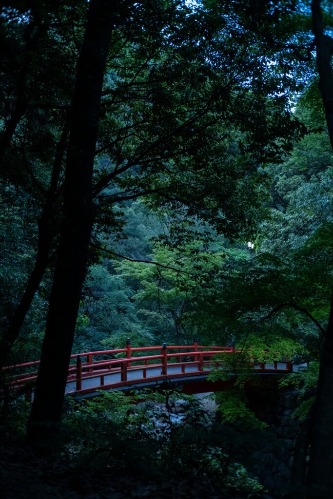 Vibrant red bridge arching over tranquil stream surrounded by lush green forest and soft light Wallpaper