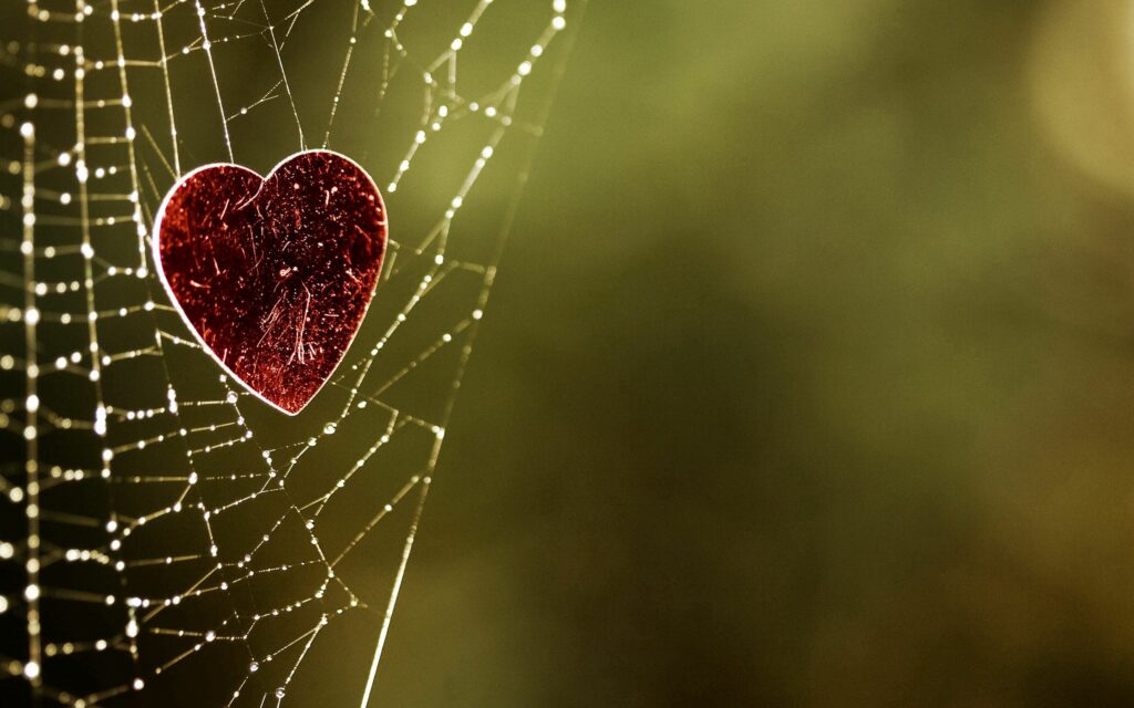 Serene Red Heart Wallpaper: Delicate Web on Soft Blurred Background