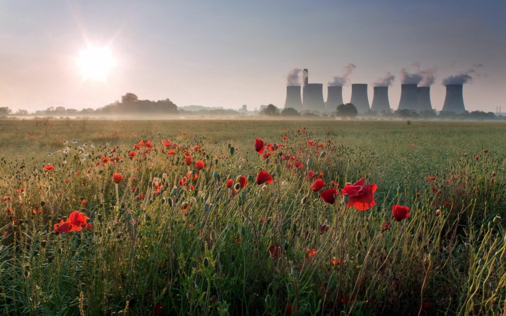Serene field of vibrant red poppies with industrial chimneys emitting smoke in soft morning light Wallpaper
