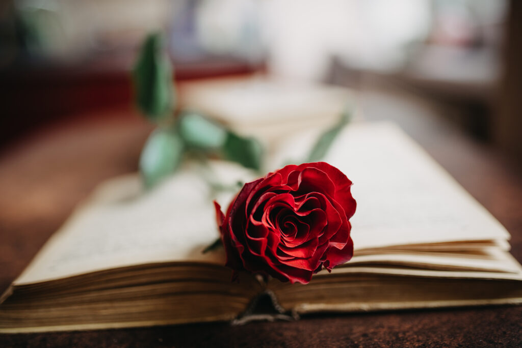 Serene Red Rose on Open Book Wallpaper - Romantic Aesthetic
