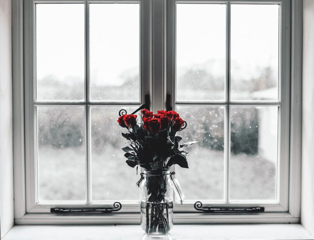 Serene Red Roses in Vase on Windowsill - Peaceful Wallpaper Background