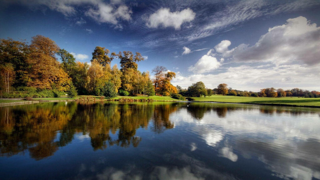 Nature's Mirror: Tranquil Reflections in a Clear Lake Amidst Lush Forest Canopy Wallpaper