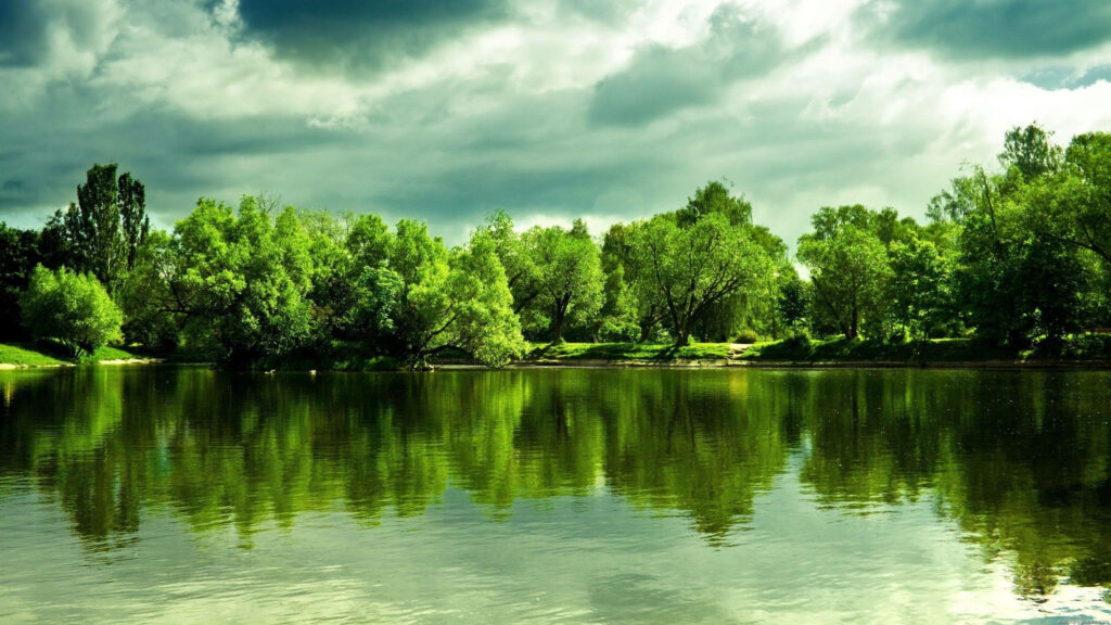 Nature's Serenity: A Breathtaking Lake Oasis Amidst Verdant Woodlands Wallpaper