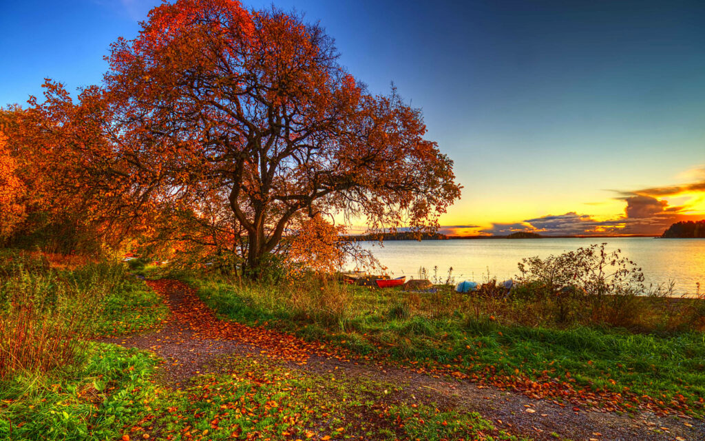 Golden Hour Glory: 4k Autumn Bliss at Lakeshore Wallpaper