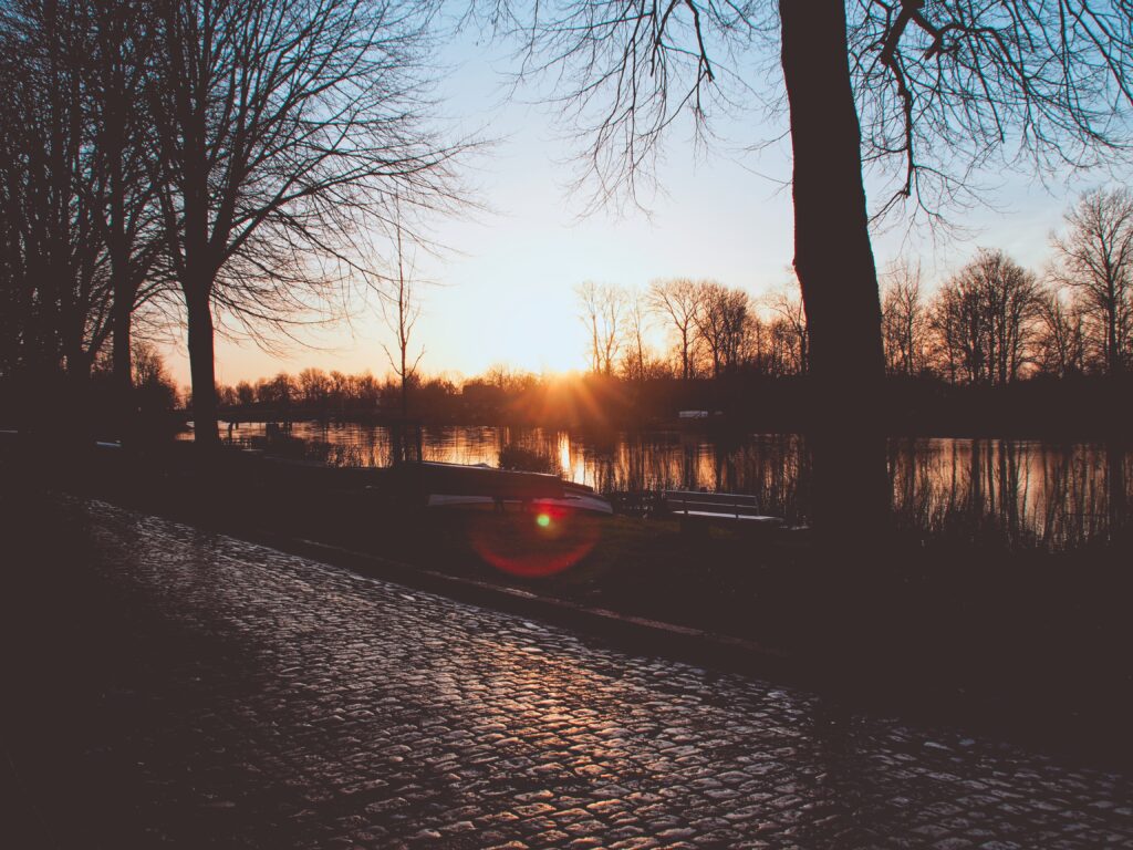 Sunset river embankment with golden light on cobblestone path and bare trees reflection Wallpaper