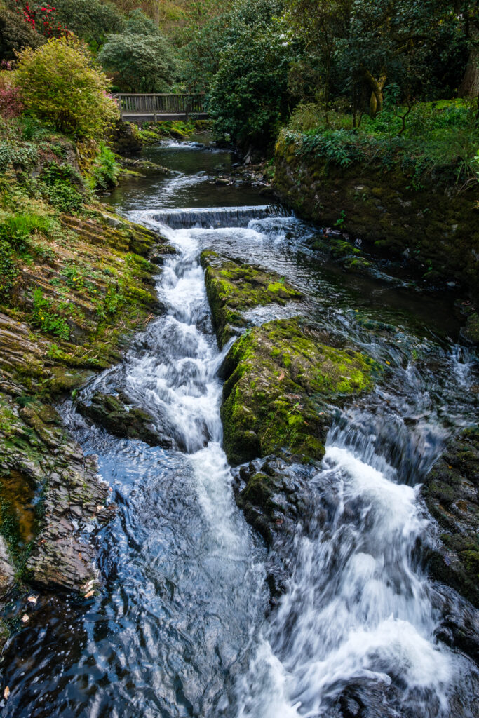 Serene river flowing over mossy rocks with lush green trees and wooden bridge in background Wallpaper