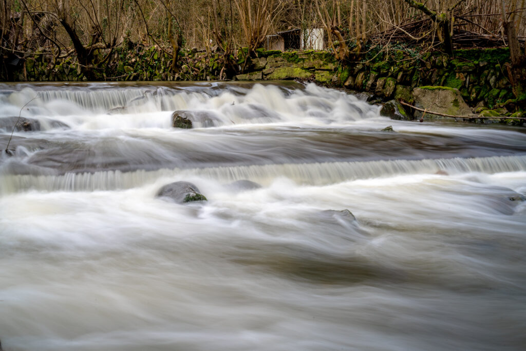 Serene river flowing over smooth stones with moss and bare trees natural landscape wallpaper