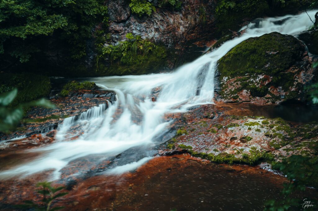 Serene river flowing over mossy stones with lush green grass and dense foliage wallpaper background