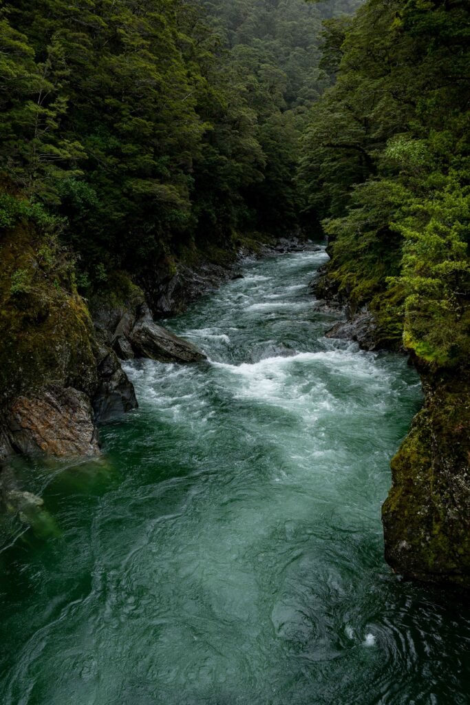Vibrant river flowing through lush green forest and rugged stones realistic nature wallpaper background