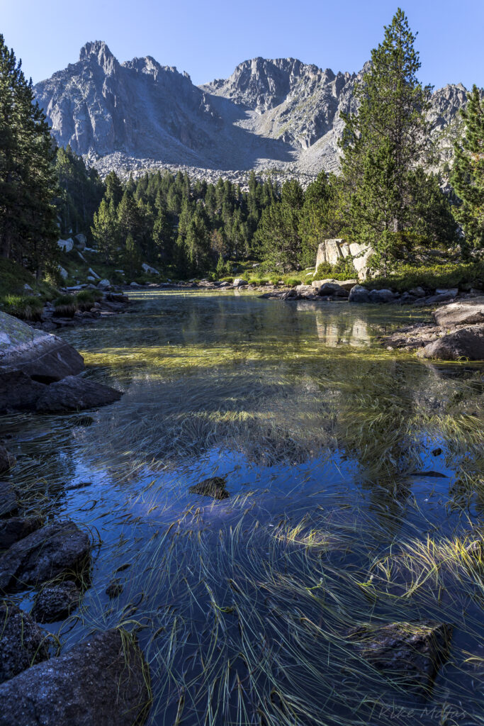 Serene river flowing through lush green grass and trees with rugged mountains and blue sky Wallpaper
