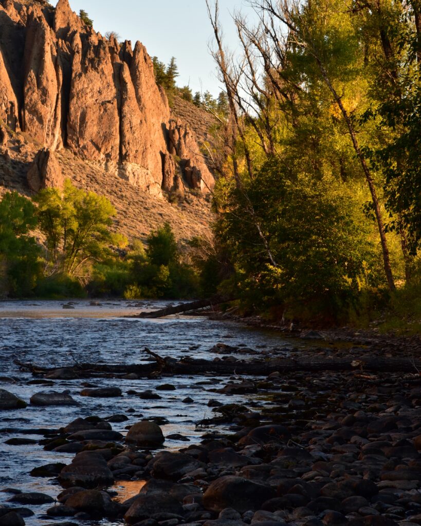 Serene river flowing by rocky shore with lush trees cliffs under warm sunlight wallpaper background