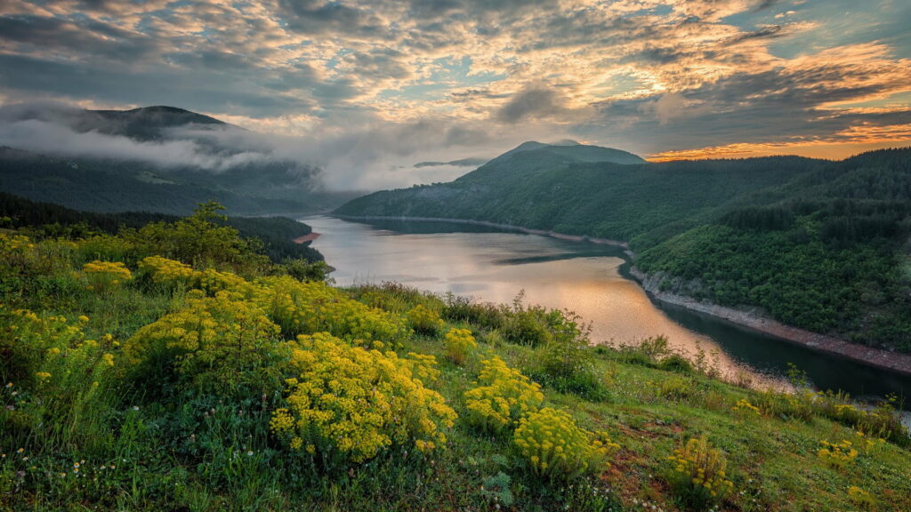 Serene River Landscape HD Wallpaper with Sunset and Flowers