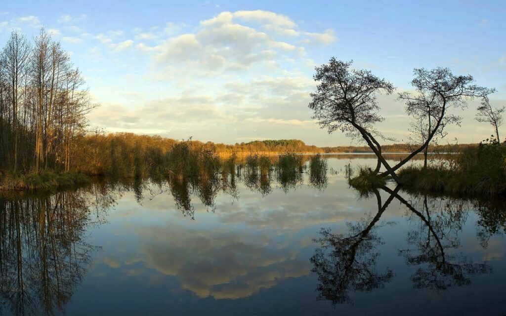 Serene river wallpaper with calm waters trees lush greenery and clear sky reflecting landscape