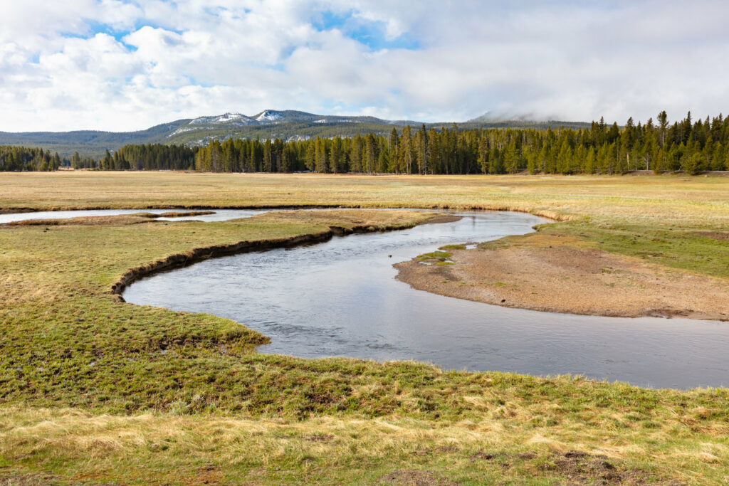 Serene landscape wallpaper with winding river green fields evergreen forests and mountains sky