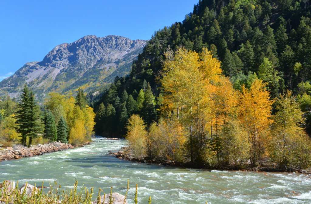 Vibrant landscape wallpaper with flowing river lush green golden trees mountain slope clear sky
