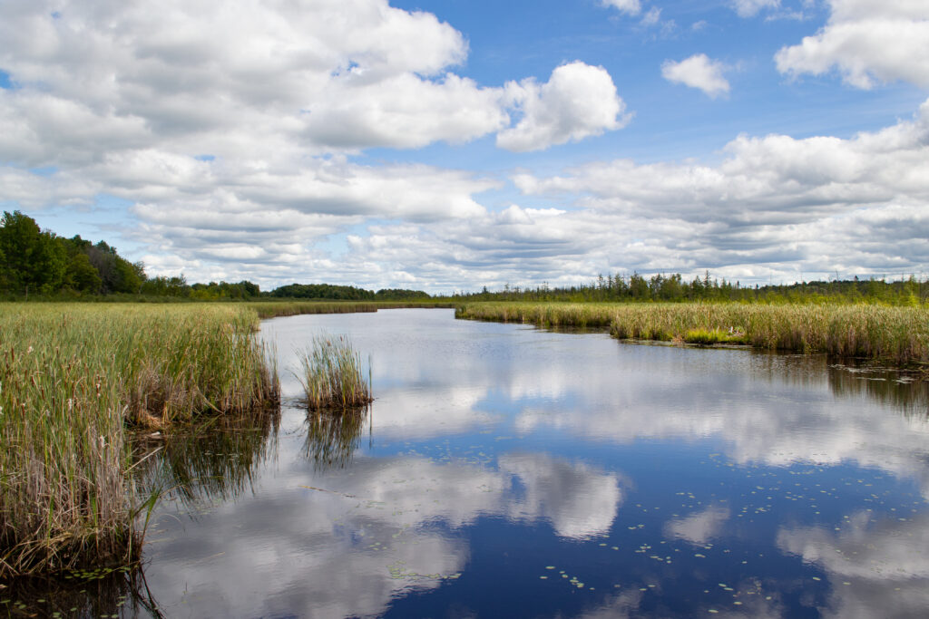 Serene river reflecting fluffy clouds flows through lush green field under vibrant blue sky wallpaper background