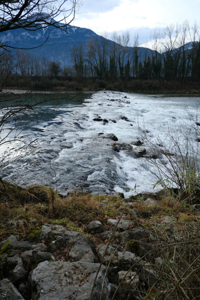 Serene riverscape with clear water over stones framed by bare trees and rugged distant mountains Wallpaper