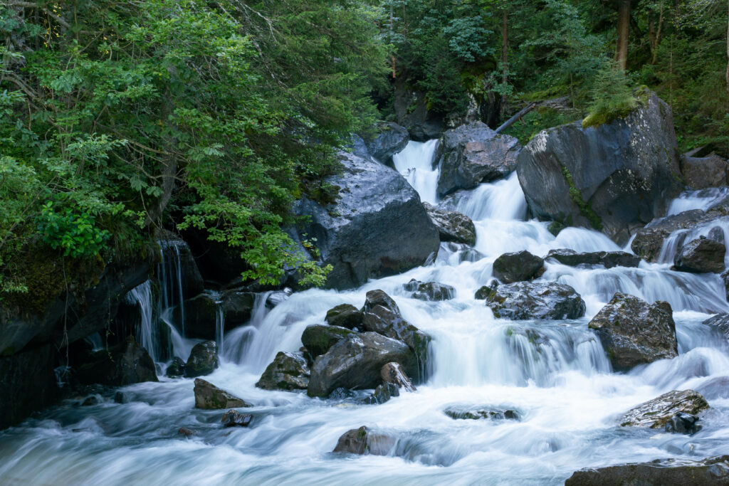 Serene river flowing over smooth stones surrounded by lush green trees with soft sunlight Wallpaper