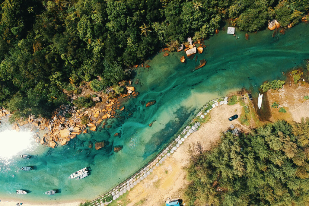 Serene River Wallpaper: Lush Greenery & Crystal-Clear Water View